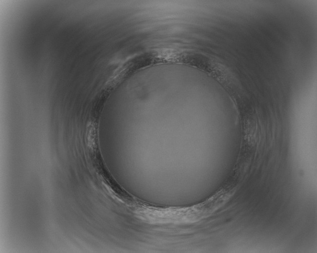 X0000056380036200508291424