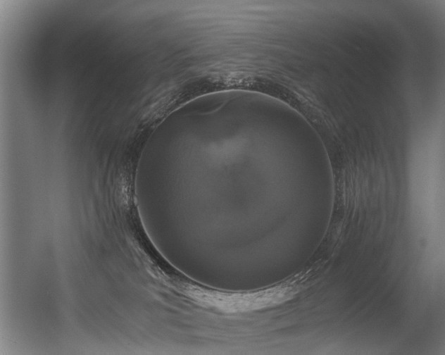 X0000056380039200508291423