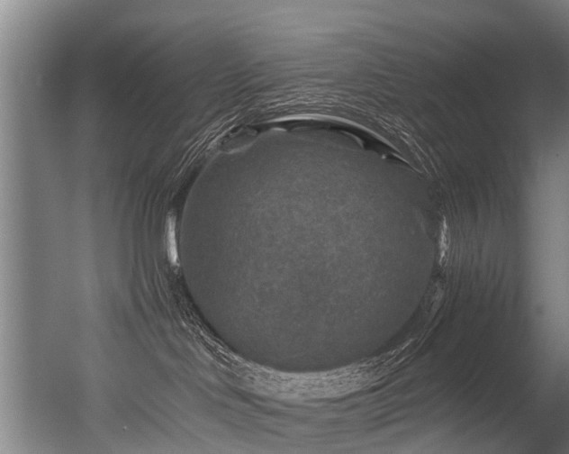 X0000056380046200508291423