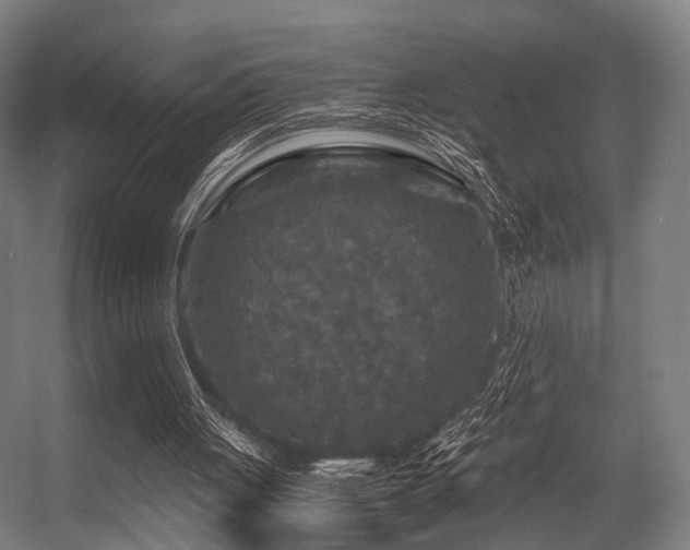X0000056380051200508291423