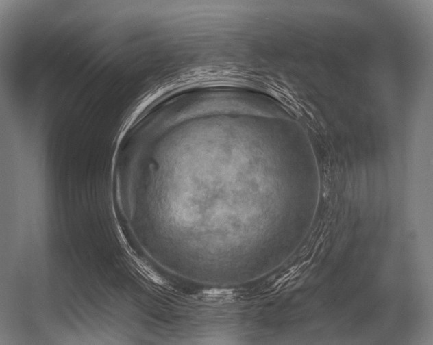 X0000056380052200508291423