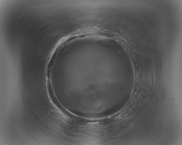 X0000056380054200508291423