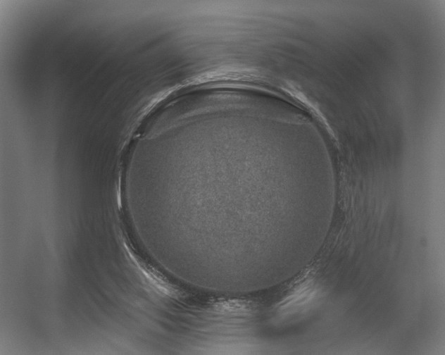 X0000056380062200508291423