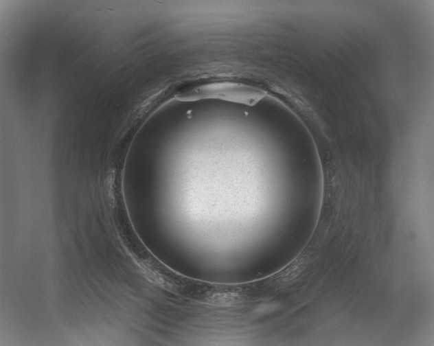 X0000056380066200508291423