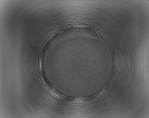 X0000056380080200508291423