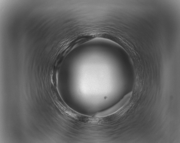 X0000056380096200508291423