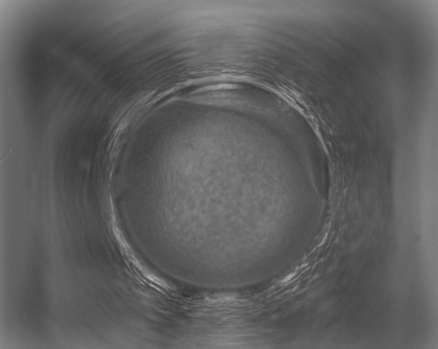 X0000056380097200508291422
