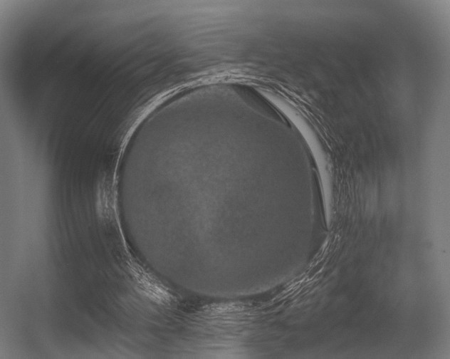 X0000056380100200508291422
