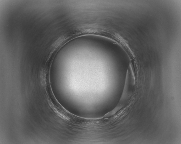 X0000056380106200508291422