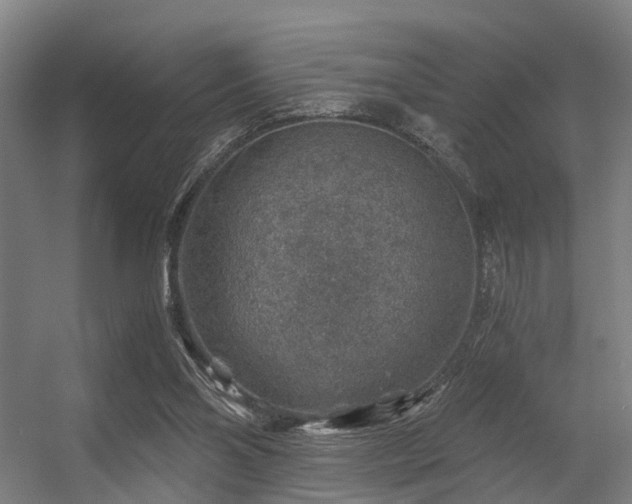 X0000056380110200508291422