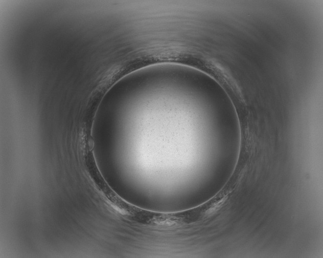 X0000056380113200508291422