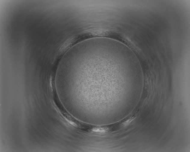 X0000056380117200508291422