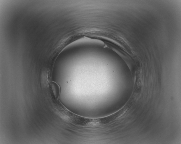 X0000056380119200508291422