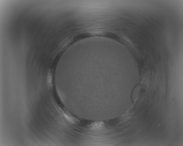 X0000056380124200508291422