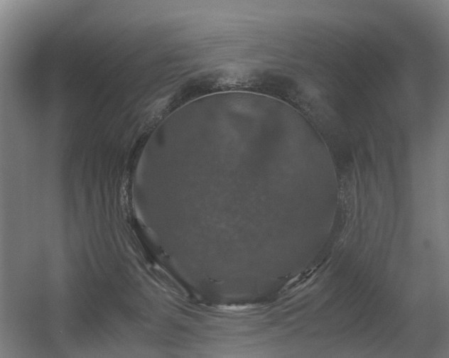 X0000056380127200508291422