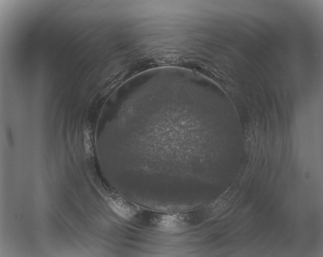 X0000056380130200508291422