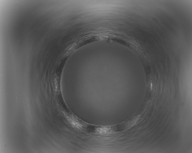 X0000056380139200508291422