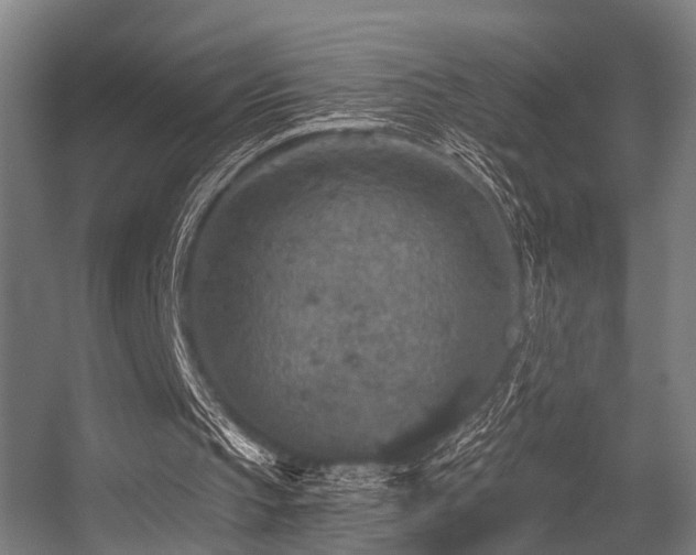 X0000056380145200508291421