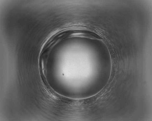 X0000056380148200508291421