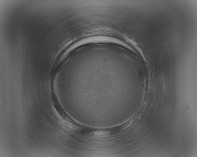 X0000056380154200508291421