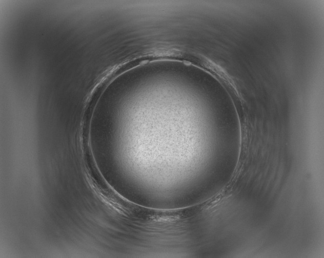 X0000056380155200508291421