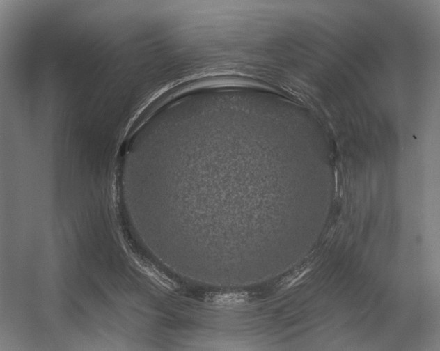 X0000056380156200508291421