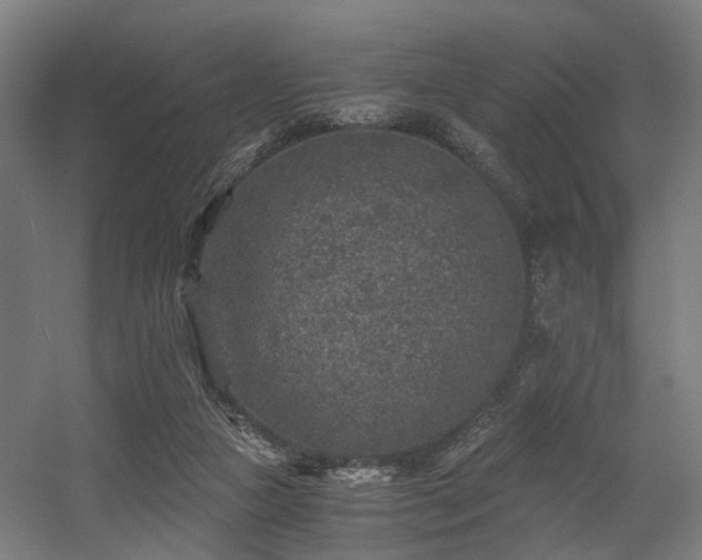 X0000056380161200508291421