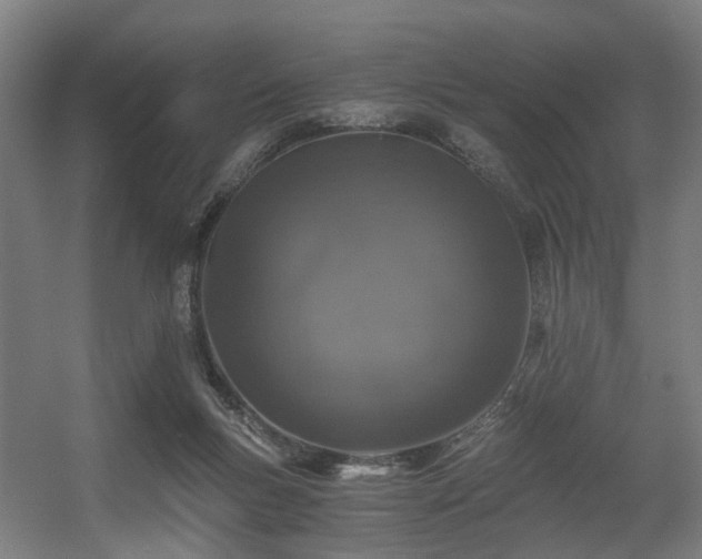 X0000056380167200508291421