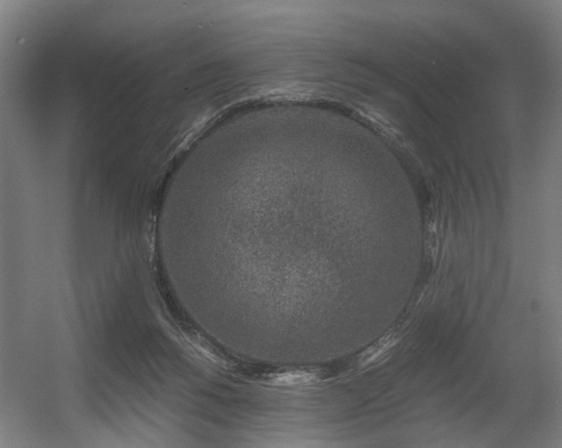 X0000056380168200508291421