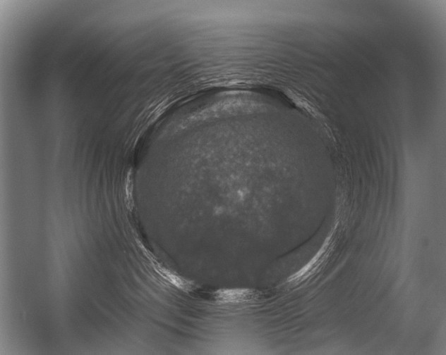 X0000056380192200508291422