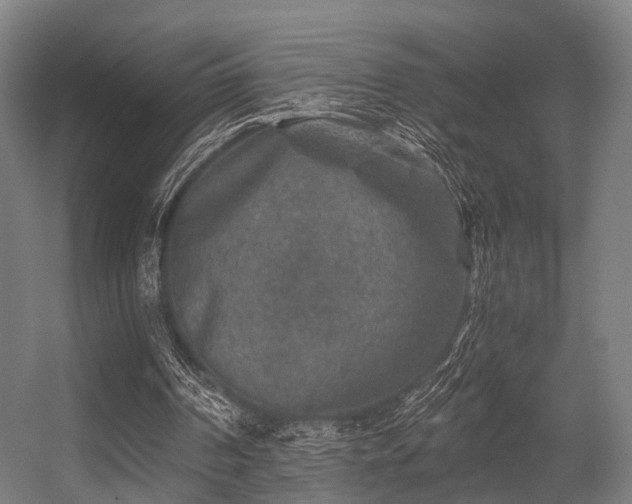 X0000056380194200508291421