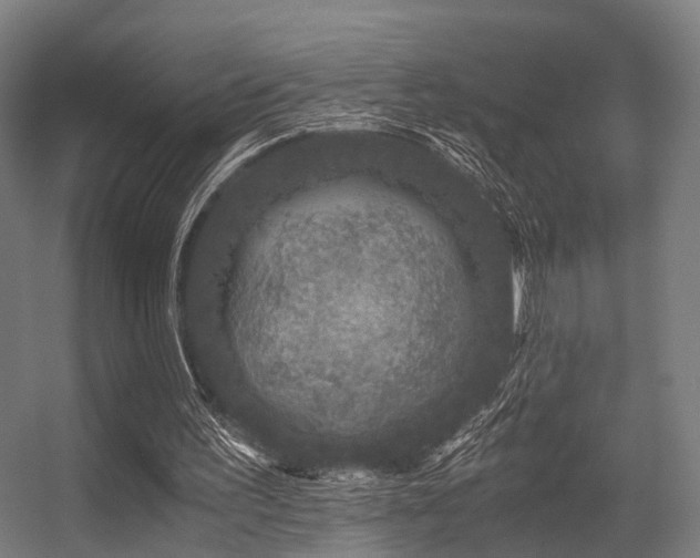 X0000056380195200508291421