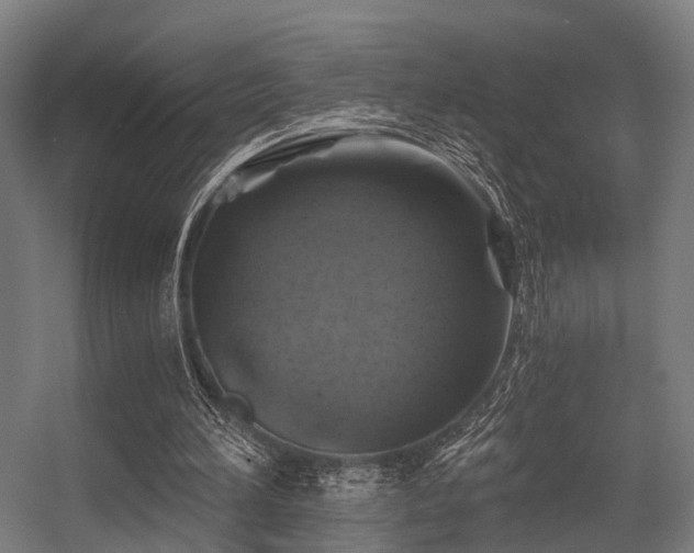 X0000056380196200508291421