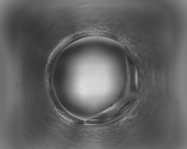 X0000056380197200508291421