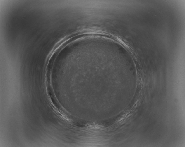 X0000056380199200508291421