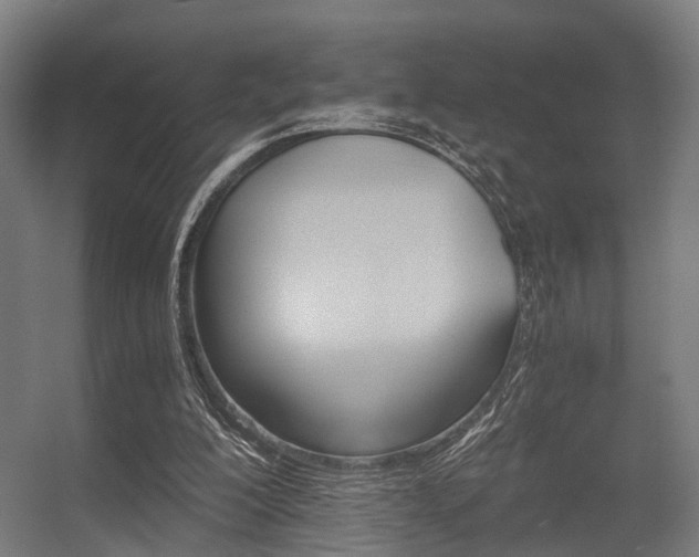X0000056380200200508291421