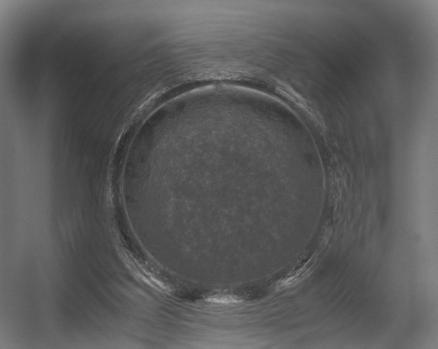 X0000056380203200508291421