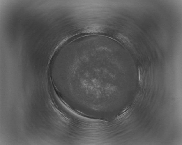 X0000056380204200508291421