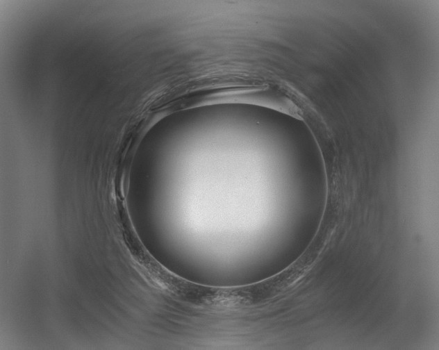 X0000056380209200508291421