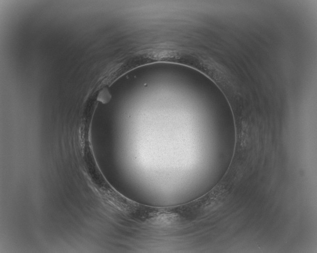 X0000056380210200508291421