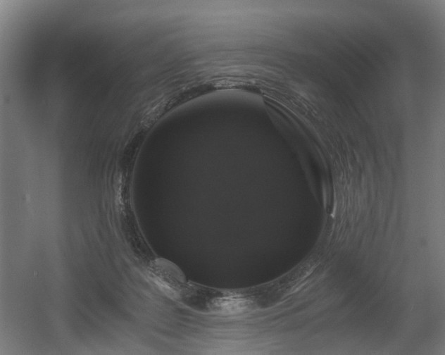 X0000056380219200508291420