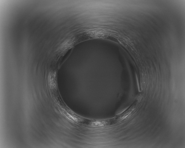 X0000056380239200508291420
