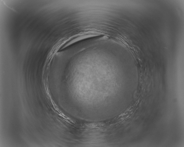 X0000056380241200508291419