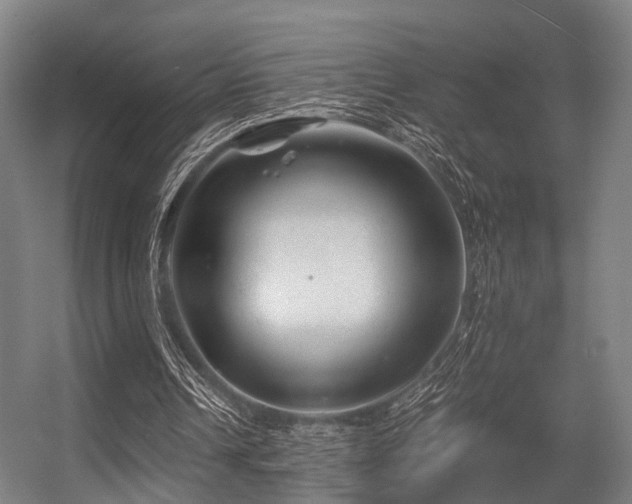 X0000056380242200508291419