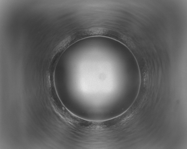 X0000056380254200508291419