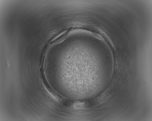 X0000056380257200508291419
