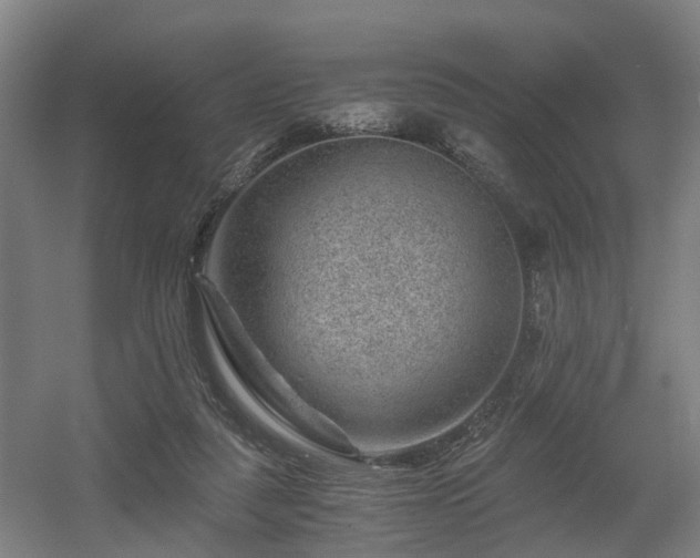 X0000056380259200508291419