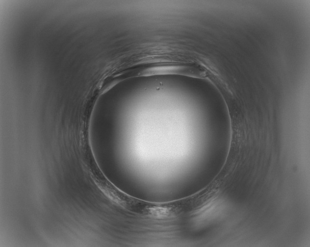X0000056380265200508291420