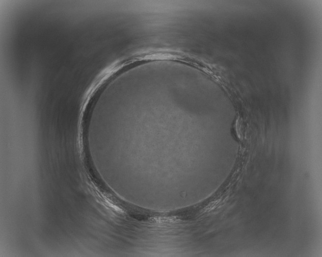 X0000056380296200508291419