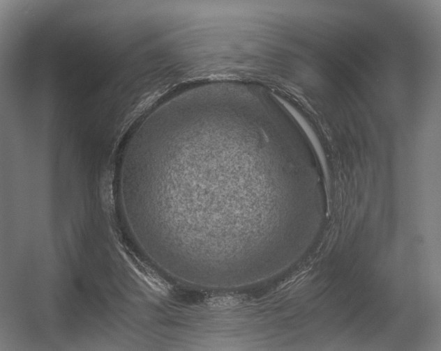 X0000056380299200508291419